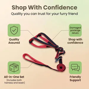 Dog harness and leash set detail view, adjustable red and black pet walking strap combo.
