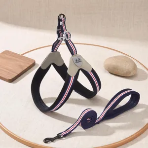 Detailed shot of pet harness and leash set showing sturdy metal clasp and durable nylon weave.