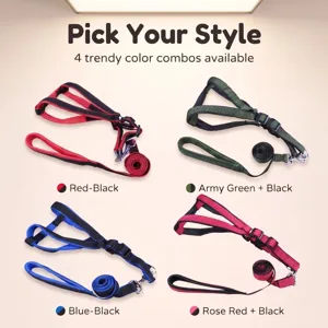 Detailed view of dog harness and leash set in four trendy color combinations for pets.