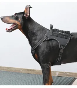 Detail view of the tactical dog harness, designed for large dogs to prevent pulling.