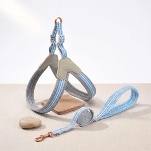 Breathable mesh dog harness and leash set detail view, soft vest design for small pets walking.