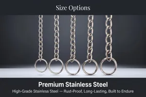 Stainless steel dog training chain detail view, multiple sizes available for pets.