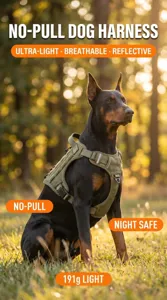 Detailed outdoor close-up shot of the tactical dog harness worn by a dog at sunset.