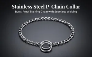 Durable stainless steel P-chain dog collar with seamless welding for safe pet training.