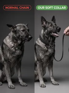 Comfortable padded dog training collar and metal chain comparison for safe and easy control.