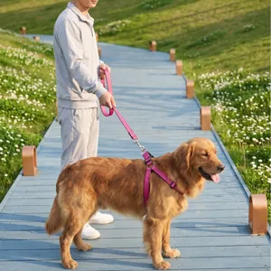 Pink dog harness and leash set for walking, durable pet chest strap for medium large dogs