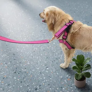 Pink dog harness and leash set for small medium dogs, durable pet walking chest strap accessories.