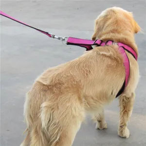 Durable vest dog harness and leash set, comfortable pink pet chest strap for daily walking.