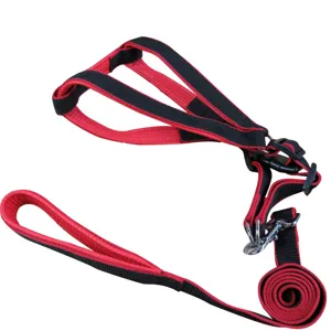 Red and black pet dog harness and leash set, adjustable vest style for daily walking pets.