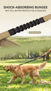 Detailed view of shock-absorbing bungee dog leash with elastic buffer in outdoor park setting.