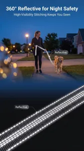 Reflective dog leash with high-visibility stitching for night safety and hands-free walking.