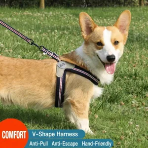 Breathable Mesh Pet Dog Harness And Leash Set Anti Escape Vest Adjustable Reflective Walking Supplies For Small Dogs