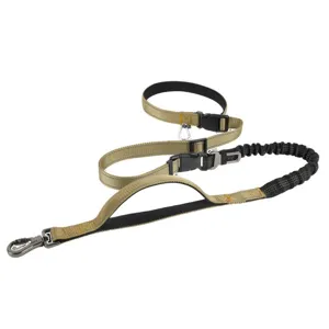 Multi-functional hands-free dog leash with shock absorbing bungee and car seat belt.