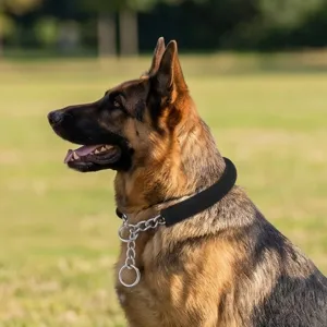 Stainless steel dog training P-chain collar with soft black padding for large dogs pet walks.