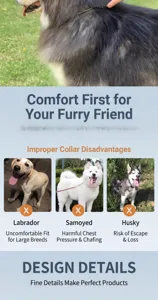 Collar táctico para perros y correa elástica para paseos al aire libre, ideal para perros grandes.