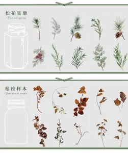 Botanische PET stickerpakket dagboek DIY materiaal vintage dennentak plant decoratie
