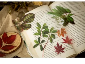 Gedetailleerd overzicht van botanisch PET-stickerpakket met bladontwerpen voor journaldecor.