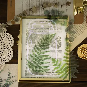 Botanische PET sticker pack grote decoratieve stickers voor DIY knutsel scrapbook benodigdheden