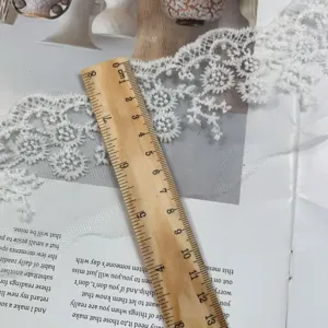 Exquisite white mesh embroidered lace trim, 7cm wide, perfect for DIY crafts and clothing.