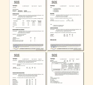 SGS test report and compliance document for silicone mold baking and crafting tools safety.