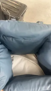 Vue de détail intérieure du siège auto portable en cuir pour animal et sac de transport.