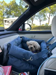 Siège auto portable pour animal de compagnie, boîte de transport confortable pour petits chiens.