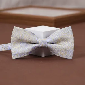 Detailed close-up of a men's purple and gold paisley bow tie on a white pedestal.