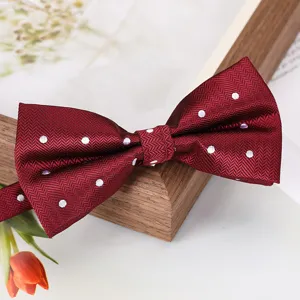 Noeud papillon bordeaux à pois avec motif à chevron pour costume formel de mariage d'homme.