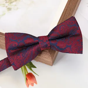 Nœud papillon paisley pour homme mariage marié bordeaux bleu tissu jacquard accessoire