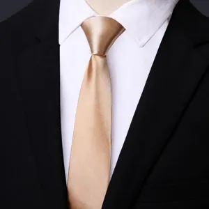 Cravatta con zip oro champagne cravatta stretta abito affari uomo preannodata 5cm