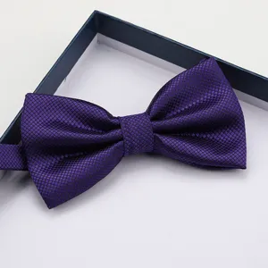 Close-up of a stylish purple grid bow tie showcasing fine fabric texture and neat pleated bow.