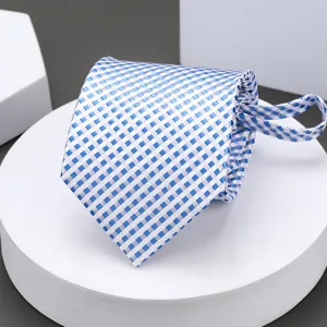 Blue and white plaid business zipper tie for men, stylish and convenient formal wear accessory.