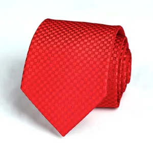 Detailed close-up of the wine red checkered tie, showing fine fabric texture and neat woven pattern.