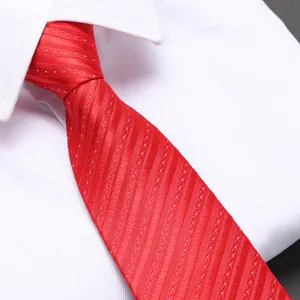 Red zipper necktie for men, classic wedding business formal wear pre-tied tie accessory.