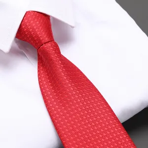Red zipper necktie for men, wedding business formal wear, easy pull pre-tied style.