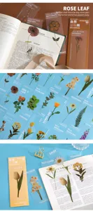 Transparent PET plant bookmarks aesthetic vintage floral stationery page markers for reading books