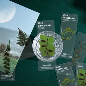 Transparent PET botanical bookmarks set, vintage aesthetic plant specimen page markers for reading.