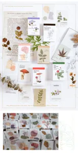 Primer plano detallado de papel de material botánico y blocs de notas con hermosas plantas.