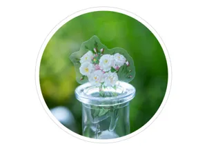 Λεπτομερές κοντινό πλάνο διαφανούς αυτοκόλλητου λουλουδιών PET με λευκό μπουκέτο σε γυάλινο μπουκάλι.