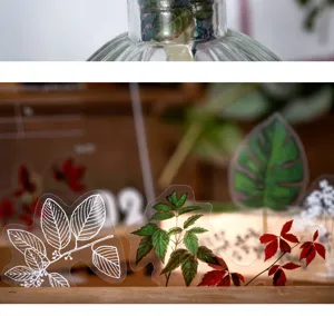 Διαφανές αυτοκόλλητο PET φυτών για DIY λευκώματα και ημερολόγια. Λεπτομερή σχέδια φύλλων.