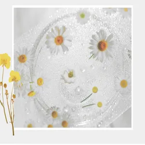 Clear PET sticker detail, daisy flower and water drop design, fresh DIY craft material.