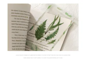 Detail shot of green fern leaf PET sticker, transparent botanical handbook DIY material.