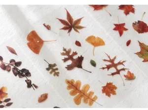 Autumn leaves PET stickers botanical specimen style DIY handbook decorative stationery.