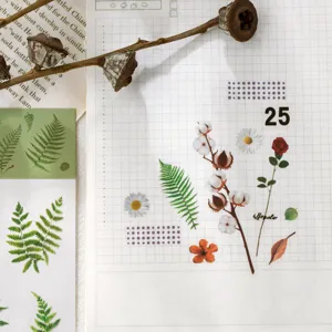 Botanical PET stickers for journal DIY, floral and fern specimen design, aesthetic craft.