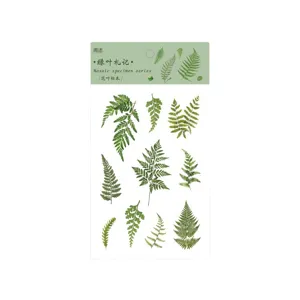 Green fern leaves PET stickers botanical specimen diary DIY decorative sticker sheet main view