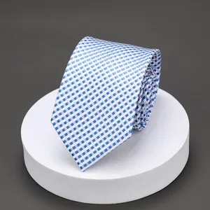 Detailed view of the elegant blue and white checkered men's business formal necktie.