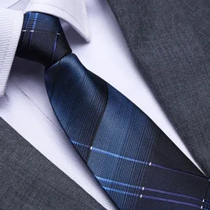 Men's business blue plaid necktie detail view, featuring classic formal wear matching design.