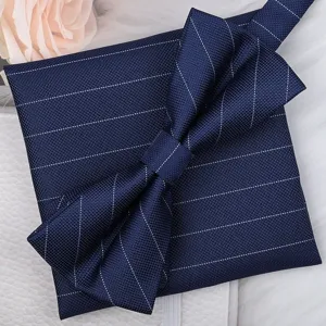 Vista detallada del conjunto de pajarita y pañuelo de rayas diplomáticas azul oscuro para hombre.