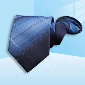 Close-up detail of the stylish blue striped zipper tie, showing fine fabric texture and neat fold.
