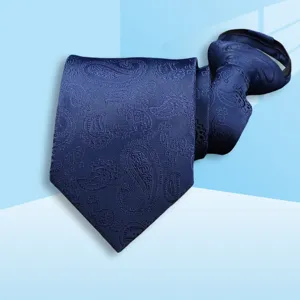 Blue paisley zipper tie for men business formal wear wedding professional interview necktie.